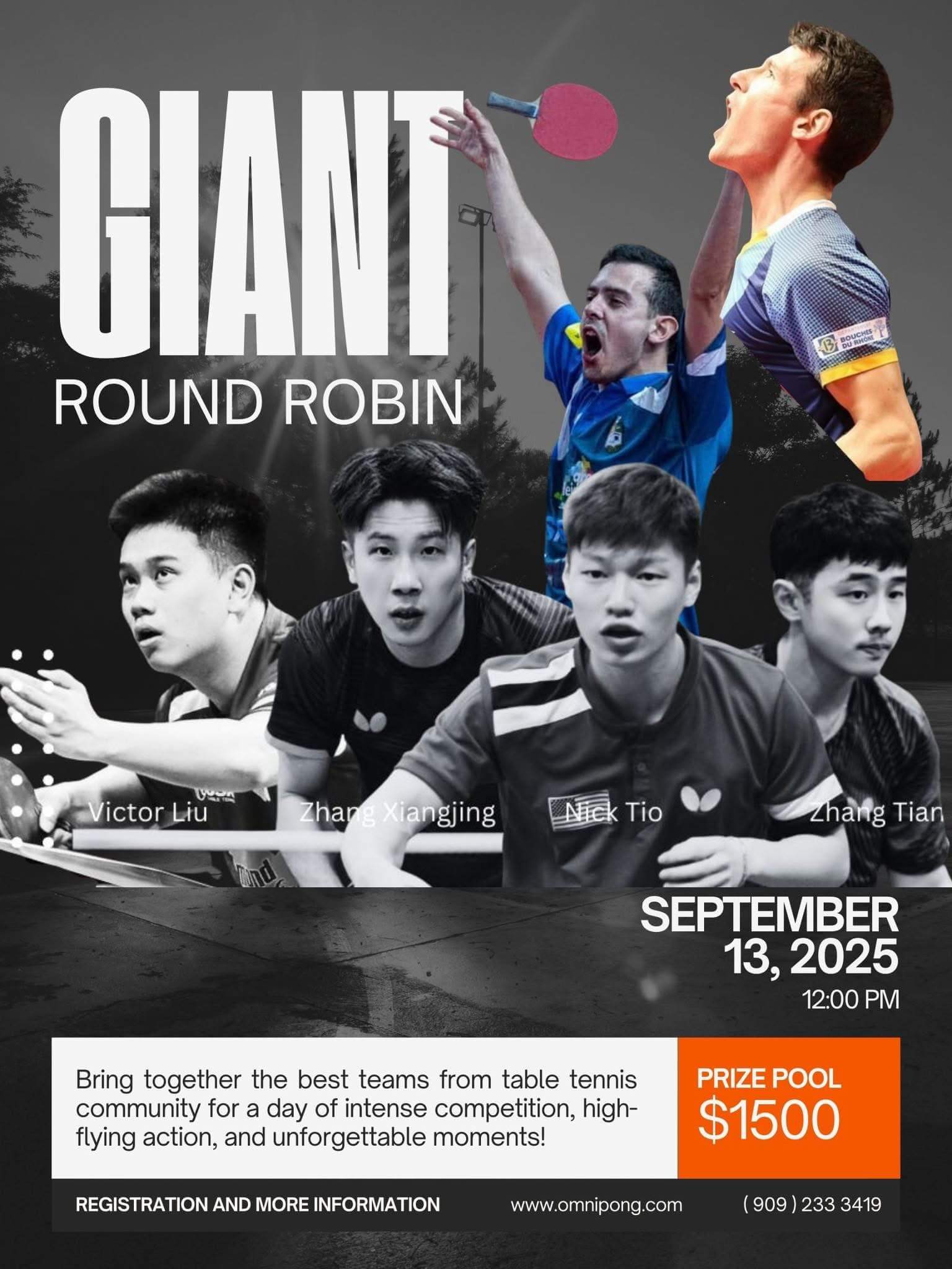 Giant Round Robin Tournament